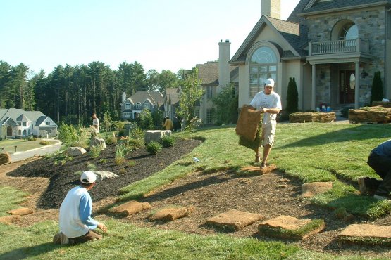 Large Sod and Garden Plantings